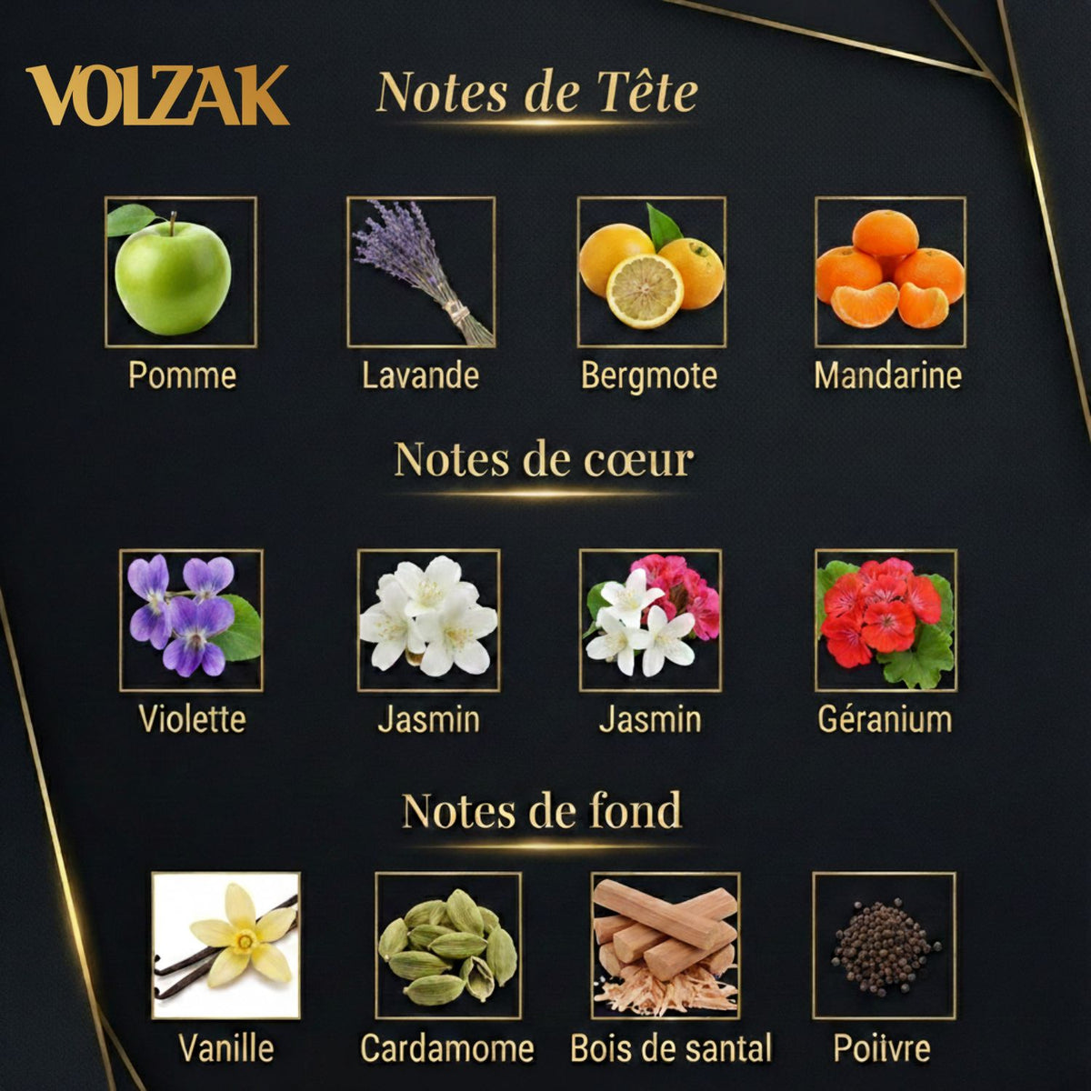 VOLZAK PARFUM  NOBLESSE INTENSE 100ML HOMME